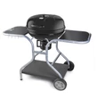 Kép 1/10 - Fieldmann Faszenes grillsütő FZG 1014