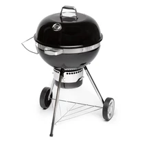 Fieldmann Faszenes grillsütő FZG 1017